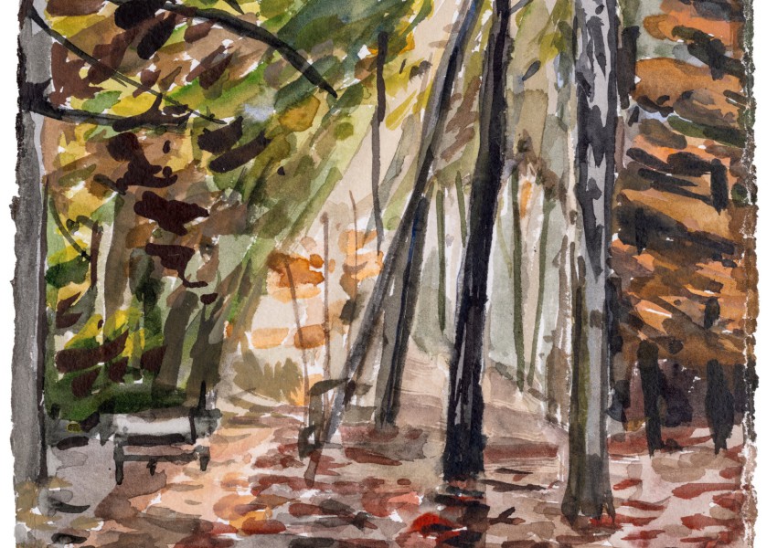 Christopher Lehmpfuhl Im Wandel des Lichts